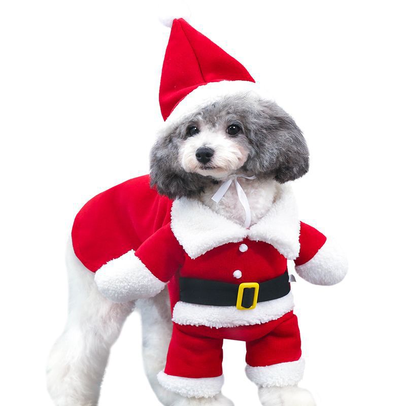 Festive Pet Christmas Costume Adorable Standing Holiday Outfit