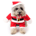 Festive Pet Christmas Costume Adorable Standing Holiday Outfit