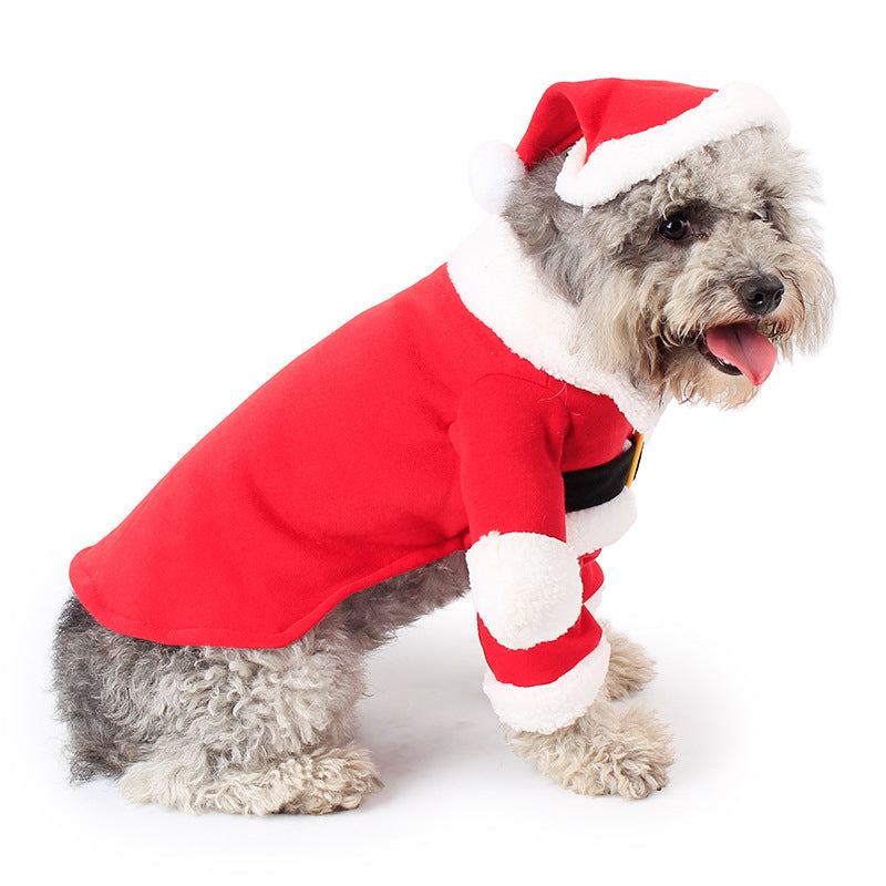 Festive Pet Christmas Costume Adorable Standing Holiday Outfit