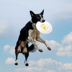 Professional Dog Training Frisbee Durable Competition Flying Disc