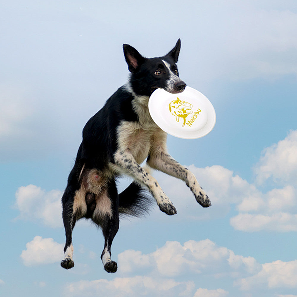 Professional Dog Training Frisbee Durable Competition Flying Disc